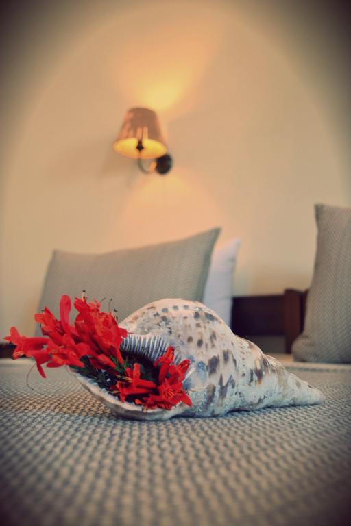 Anemologio Apartment Finikas  Room photo